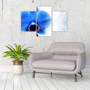 Obraz s orchideí (Obraz 90x60cm)