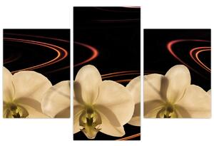 Obraz s orchideí (Obraz 90x60cm)