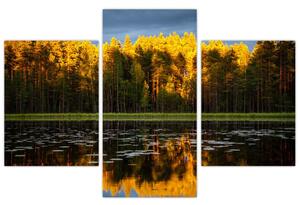 Obraz - jesenná krajina (Obraz 90x60cm)