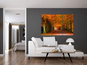 Obraz cesty lesom na jeseň (Obraz 120x80cm)