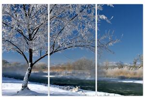 Obraz zamrznuté zimnej krajiny (Obraz 120x80cm)
