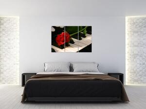 Obraz ruže na klavíri (Obraz 120x80cm)