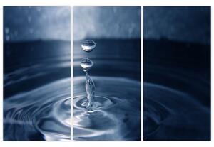 Obraz kvapky vody (Obraz 120x80cm)