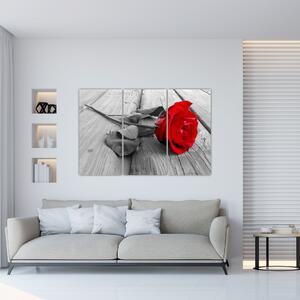 Obraz ruže s červeným kvetom (Obraz 120x80cm)