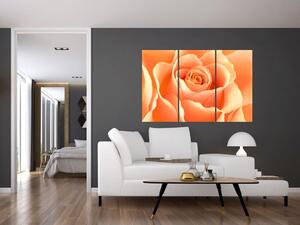 Obraz oranžové ruže (Obraz 120x80cm)