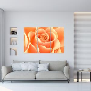 Obraz oranžové ruže (Obraz 120x80cm)