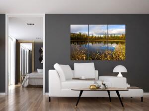 Obraz na stenu - lesné jazierko (Obraz 120x80cm)