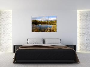 Obraz na stenu - lesné jazierko (Obraz 120x80cm)