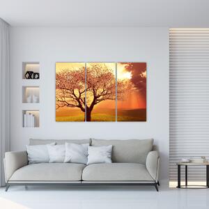 Obraz prírody - strom (Obraz 120x80cm)