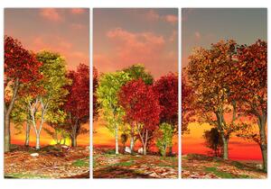 Obraz prírody - farebné stromy (Obraz 120x80cm)
