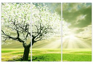 Jarný strom - moderný obraz (Obraz 120x80cm)