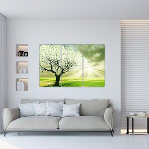 Jarný strom - moderný obraz (Obraz 120x80cm)