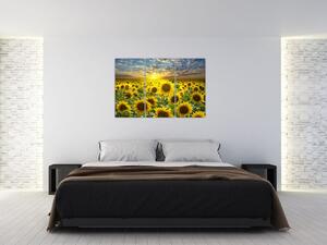 Obraz slnečníc (Obraz 120x80cm)