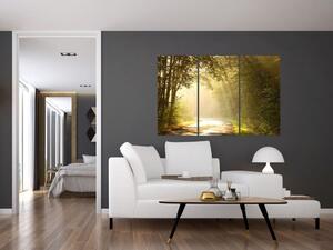 Obraz do obývacej izby (Obraz 120x80cm)