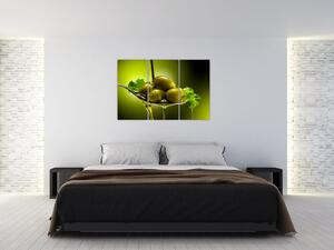 Obrazy do kuchyne - olivy (Obraz 120x80cm)