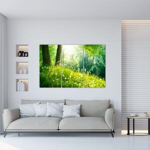 Moderné obrazy prírody (Obraz 120x80cm)