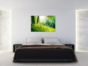 Moderné obrazy prírody (Obraz 120x80cm)
