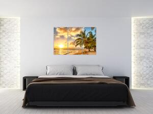 Obraz palmy na piesočnatej pláži (Obraz 120x80cm)