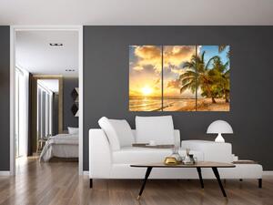 Obraz palmy na piesočnatej pláži (Obraz 120x80cm)