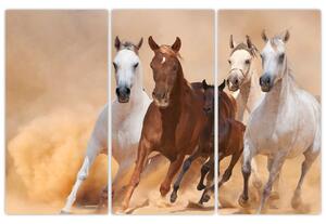 Obrazy bežiacich koní (Obraz 120x80cm)