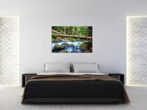 Obraz do bytu - horský potok (Obraz 120x80cm)