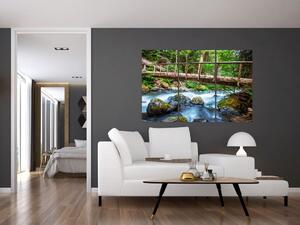 Obraz do bytu - horský potok (Obraz 120x80cm)