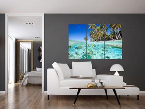 Obraz tropického mora (Obraz 120x80cm)