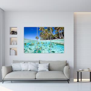 Obraz tropického mora (Obraz 120x80cm)