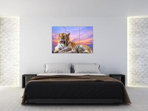 Obraz ležiaceho tigra (Obraz 120x80cm)