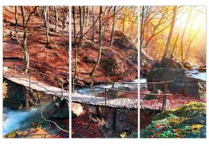 Obraz mosta - jesenné cesta lesom (Obraz 120x80cm)