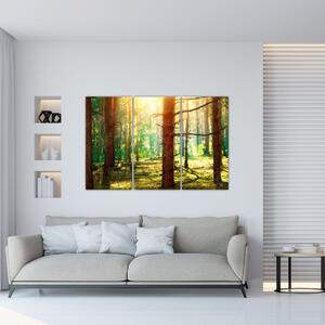 Moderný obraz - les (Obraz 120x80cm)