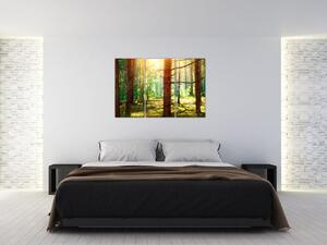 Moderný obraz - les (Obraz 120x80cm)