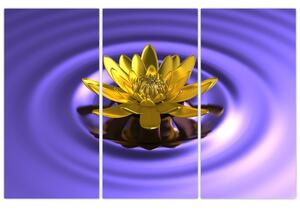 Obraz kvetu vo vode (Obraz 120x80cm)