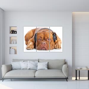 Moderný obraz - pes so slúchadlami (Obraz 120x80cm)