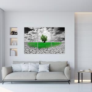 Zelený ostrov vo vyprahnutej krajine - obrazy do obývačky (Obraz 120x80cm)