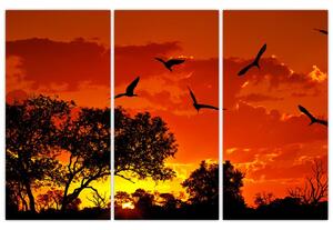 Obraz zapadajúceho slnka s vtákmi (Obraz 120x80cm)