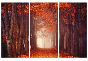 Jesenné les - obraz (Obraz 120x80cm)