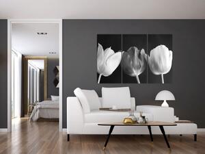 Čiernobiely obraz - tri tulipány (Obraz 120x80cm)