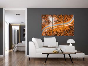 Cesta lesom - moderné obrazy na stenu (Obraz 120x80cm)