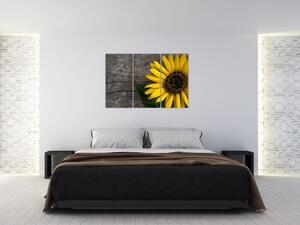 Obraz slnečnice na stole (Obraz 120x80cm)