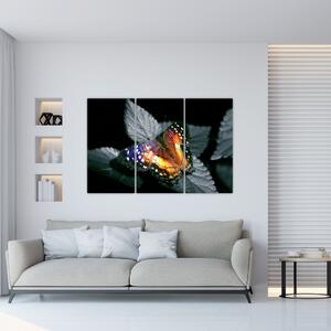 Motýľ na liste - obraz (Obraz 120x80cm)