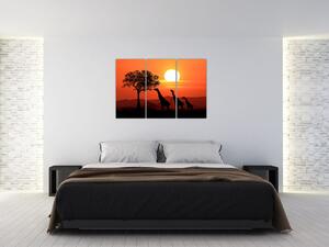 Obraz žirafy pri západe slnka (Obraz 120x80cm)