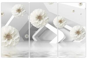 Obraz kvety nad vodnou hladinou (Obraz 120x80cm)