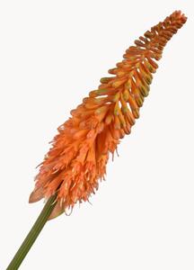 Rastlinné dekorácie Kniphofia, 2 ks