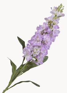 Rastlinné dekorácie Matthiola Incana, 2 ks