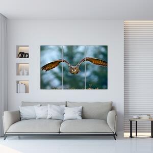 Obraz letiaci sovy (Obraz 120x80cm)