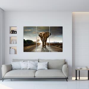 Obraz kráčajúceho slona (Obraz 120x80cm)