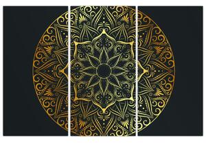 Obraz - zlatá mandala (Obraz 120x80cm)