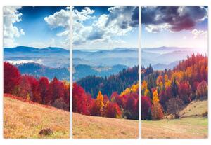 Obraz jesennej prírody (Obraz 120x80cm)