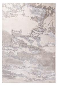Sivý koberec 230x160 cm Aurora - Asiatic Carpets